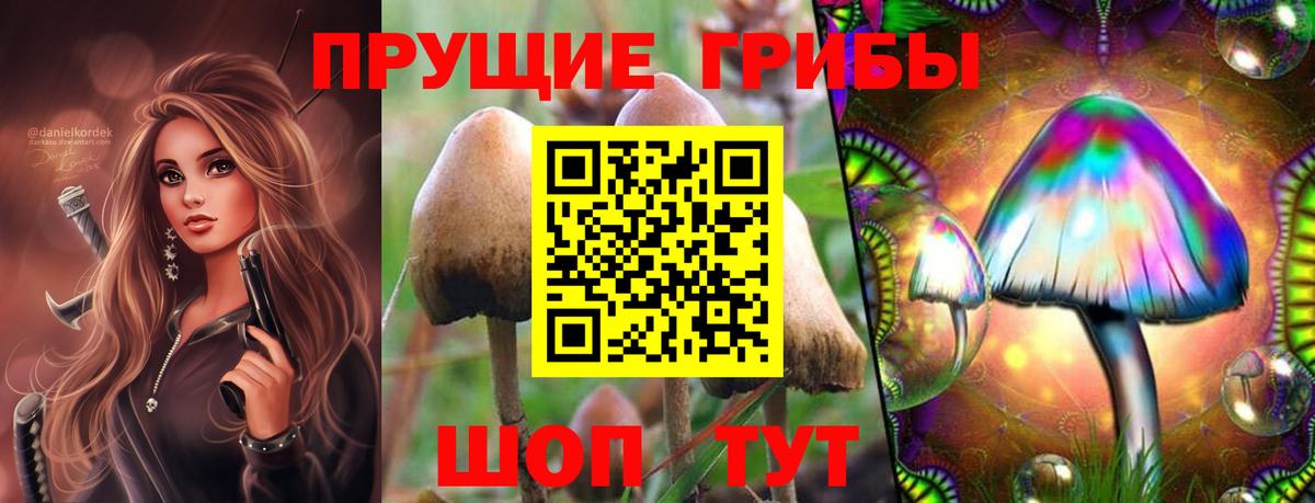 Псилоцибиновые грибы мицелий  Псилоцибиновые грибы мухоморы  купить наркотик  Вход с VPN  Ачхой-Мартан 